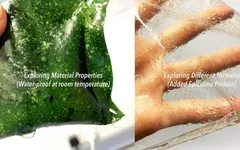 海藻包裝:可持續發展的未來?