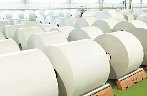 從2023年紙廠、紙機、產能與消費量看歐洲造紙業的大洗牌!