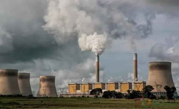 印度造紙行業的現狀、風險和發展機遇