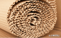 到2029年,數字印刷包裝市場價值462億美元